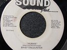 Brief Encounter 45 SOUND PLUS PROMO Human RARE 70's SOUL STEPPER LISTEN
