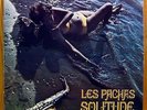 LES PACHAS SOLITUDE LP KOMPA PSYCH FUNK HAITI MACAYA LISTEN