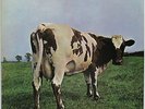 The PINK FLOYD Atom Heart Mother 1972 US OG LP PSYCH Gilmour Waters Mason Wright