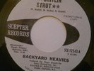 BACKYARD HEAVIES - CHITLIN STRUT - rare funk 45 - HEAR