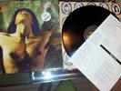 STEVE SYLVESTER FREE MAN con testi tradotti italiano (12