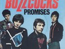 Buzzcocks Promises / Lipstick France Unique PS 7” 45 Punk UA SP021 Pete Shelley