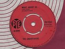 THE UNDERTAKERS-WHAT ABOUT US/MONEY-PYE.