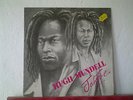 HUGH MUNDELL & LACKSLEY CASTELL Jah Fire LIVE & LOVE LP Original Press KILLER