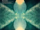 BONOBO - NORTH BORDERS - BRAND NEW SEALED VINYL LP ALBUM BOX SET 7x10