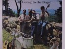 M. CHARLES KAMAN & SONS: Going To The Dogs LP (Ovation guitars-related) rare Ro