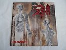 Death - Human - Roadrunner 1991 - Geniale-Scheibe - Death Metal - RAR