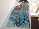 AMON DÜÜL PHALLUS DEI 1969 RARE INSERT KRAUT.LP