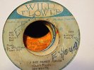 JOY WHITE - A BOY NAMED JUNIOR - WILD FLOWER