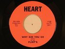 The Flints (Detroit vocal grp./doowop) 45 Why Did You Go / Summer Gets Back VG++