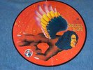 david bowie the man who sold the world PICTURE DISC rare lp german MINT COND.