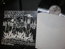 RIISTETYT - Raped Future, Oi, Skin, Punk, Rock-O-Rama, Finnland