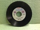 Reb Record 45 RPM by Johnny Rebel #504