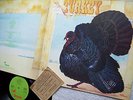 WILD TURKEY-TURKEY-ORIGINAL LP-GERMAN PRESS-MIT KONZERTKARTE