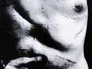 Ex RARE ANDY WARHOL ART COVER (SCARS) 1969 Richard Aveon Photo 7
