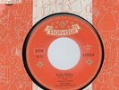 POLYDOR  Sg  .-     BIBI JOHNS   -     ROCKY ROBBY  ( ROCKIN` ROBIN )