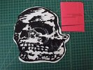 ORCHID JEROMES DREAM Skull Split 10