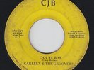 Funk 45 - Carleen & The Groovers - Can We Rap - CJB - mp3 - breaks/rare