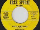 Funk 45 - Free Spirit - I Feel Like This - Private - mp3 - unknown?