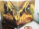 TOAD - SAME Rare Orig Swiss FOC LP 1971 HALLELUJAH 1st Press MONSTER PROG KRAUT