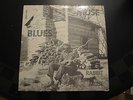 33 1/3 RPM Record RABBIT MUSE Muse Blues COUNTRY BLUES LP Outlet Rocky Mount VA