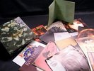 KATE BUSH - THE SINGLE FILE '78 - '83 - BOXSET - 12 MINT SLEEVES + BOOKLET ONLY