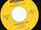 PSYCH 45 The Minority 