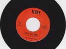 Dee Felice Trio - Little Liza Jane & Nightingale - Terry