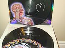 Tool - Lateralus - SIGNED Picture Disc Vinyl Record 2LP /300 Rare and OOP
