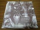 BARDO THODOL - Feeble Voice (Trans/Japan) 7” private goth rock dark wave w/synth