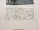RARE 12  RECORD JOY DIVISION SHES LOST CONTROL SIGNED BY IAN CURTIS 80 LOOK