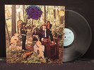 In The Woodland Of Weir - The Little Boy Blues on Fontana Records SRF67578