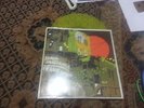 FRANK TURNER split yellow LP nofx chuck ragan gaslight anthem