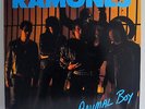 RAMONES: ANIMAL BOY - MINT CONDITION