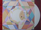 Temples Colours of Life Ltd White Vinyl 10