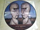 Pink Floyd The Division Bell PIC PICTURE DISC C 64200 NEW RARE NICE