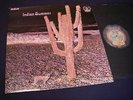 INDIAN SUMMER NEON NE3 UK 1971 ORIGINAL 1st PRESS
