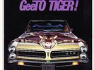 GEETO TIGER 45 RPM on COLPIX RECORDS