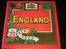 England rare '77 LP Garden Shed on Arista  EX+  symph. prog monster  YES GENESIS
