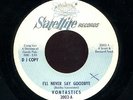 VONTASTICS I'LL NEVER SAY GOODBYE RARE NORTHERN SOUL 45
