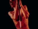 Raw Power - Iggy & Stooges - LP VINYL - Fast UK Post