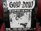 RARE  SEALED The GOW DOW EXPERIENCE PROF. JAMES BENSON JAZZ/FUNK  LP