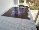 CRESSIDA SAME LP IN 1970 MINT VERTIGO SWIRL TOP RARITY