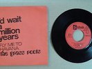 the grass roots 45 trs i'd wait a million years