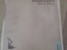 Babyshambles Down In Albion Album Vinyl