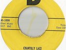 Novelty Rockabilly 45 The Big Bopper Chantilly Lace on D