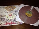 GREEN DAY DOOKIE LP VINYL VINILE PINK ROSA MADRE PERLA PEARL MULTICOLOR