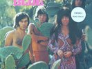 33T.   SHOCKING BLUE     