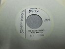 THE GATOR SHADES (aka Kenny & Kasuals),:DOWN IN MEXICO  MARK LTD., RARE 45