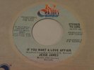 JESSE JAMES  If You Want A Love Affair  45  Northern  Soul    PROMO